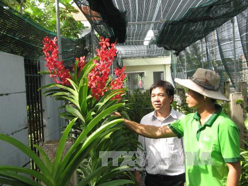 Dành 200 tỷ đồng để hỗ trợ phát triển nông nghiệp công nghệ sạch